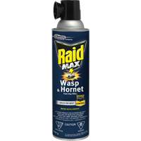 Mousse insecticide contre les gu&ecirc;pes et les frelons Raid Max, 500 g, Canette a&eacute;rosol, &agrave; base de solvant Superchem Industries