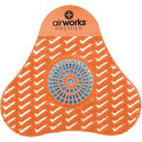 Tamis d'urinoir avec bloc d&eacute;sodorisant AirWorks Superchem Industries
