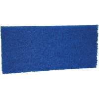 Medium Scrub Pad, 10" L x 4-1/2" W Superchem Industries