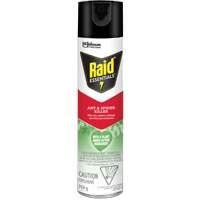 Raid&reg; Essentials Ant & Spider Killer, 350 g, Aerosol Can Superchem Industries