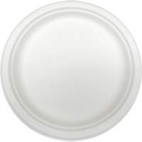 Molded Fiber Disposable Plates Superchem Industries