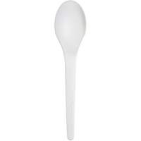 Plantware Renewable and Compostable Spoon Superchem Industries