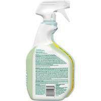 CloroxPro Clorox EcoClean Disinfecting Cleaner, 946 ml, Trigger Bottle Superchem Industries