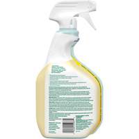 CloroxPro Clorox EcoClean All-Purpose Cleaner, 946 ml, Trigger Bottle Superchem Industries