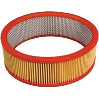 Antimicrobial Vacuum Secondary Filter, Hepa Superchem Industries