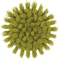 Brosse ronde HyDrive pour perceuse, Soies Tr&egrave;s ferme, Longueur de 3-1/10", Jaune Superchem Industries