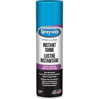 Brillant instantan&eacute; Pro Line pour surfaces en plastique, 11 oz, Canette a&eacute;rosol Superchem Industries