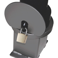 Removable Ornamental Bollards, Steel, 40" H x 4-1/2" W, Black Superchem Industries