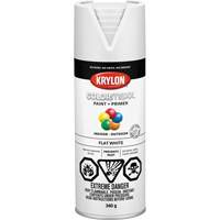COLORmaxx Paint + Primer, White, Very Flat, 12 oz., Aerosol Can Superchem Industries