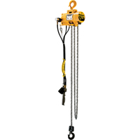 Budgit&reg; Air Chain Hoists Superchem Industries