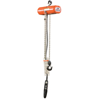ShopStar Electric Hoists, 10' Lift, 250 lbs. (0.125 tons) Capacity, 16 FPM Superchem Industries