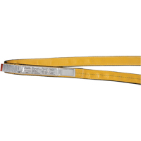 Polyester Slings, Single Ply, Endless, Type 5, 1" W x 3' L, 3200 lbs. Vertical Cap. Superchem Industries