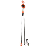 Palan &agrave; levier, Lev&eacute;e 5', Cabacit&eacute; 3000 lb (1,5 tonne), Chaîne en Acier alli&eacute; Superchem Industries