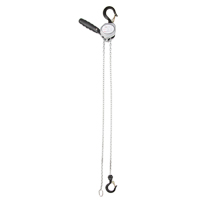 Mini palan &agrave; levier, Lev&eacute;e 5', Cabacit&eacute; 500 lb (0,25 tonne), Chaîne en Zingu&eacute; Superchem Industries