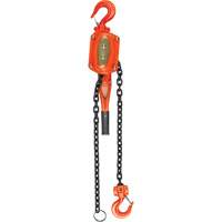 Lever Hoist, 5' Lift, 1500 lbs. (0.75 tons) Capacity, Alloy Steel Chain Superchem Industries