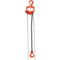 Chain Hoist, 10' Lift, 1000 lbs. (0.45 tons) Capacity, Alloy Steel Chain Superchem Industries