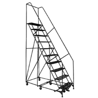 All Directional Ladders, 10 Steps, 24" Step Width, 100" Platform Height, Steel Superchem Industries