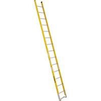 Single Section Straight Ladder - 6100 Series, 14', Fibreglass, 375 lbs., CSA Grade 1AA Superchem Industries