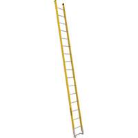 Single Section Straight Ladder - 6100 Series, 16', Fibreglass, 375 lbs., CSA Grade 1AA Superchem Industries