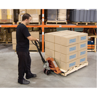 Heavy-Duty Manual Pallet Truck, Steel, 42" L x 20.5" W, 5500 lbs. Capacity Superchem Industries