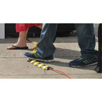 Syst&egrave;me de protection de c&acirc;bles Ultra-Sidewinder - petit , 13,125" x 3" x 0,75", 32000 lb (16 tonnes) Superchem Industries