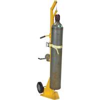 Portable Cylinder Lifter Superchem Industries