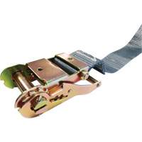 Tendeur d'arrimage &agrave; cliquet, Syst&egrave;me E-Track, 2" , 16' , Charge d'utilisation max. 1333 lb (605 kg) Superchem Industries