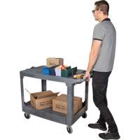 Flat-Shelf Utility Service Cart, 2 Tiers, 25-1/4" x 32-1/4" x 44", 550 lbs. Capacity Superchem Industries