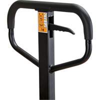 Manual Pallet Truck, Steel, 48" L x 21" W, 5500 lbs. Capacity Superchem Industries