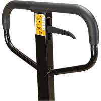 Manual Pallet Truck, Steel, 48" L x 27" W, 5500 lbs. Capacity Superchem Industries