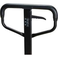 Steel Wheel Pallet Truck, Steel, 48" L x 27" W, 5500 lbs. Capacity Superchem Industries