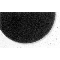 Tampons de d&eacute;capage Pro-Strip s&eacute;rie 7300, 17", D&eacute;capant, Noir Superchem Industries