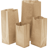 Paper Bags, Paper, 3" W x 5-7/8" L Superchem Industries
