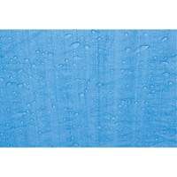 B&acirc;che, Standard, Bleu, 7' x 5' x 4 mils Superchem Industries