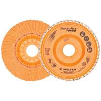 Flap Discs