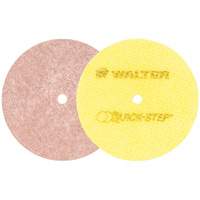 Quick-Step Instant Polish Discs, 5" Dia. Superchem Industries