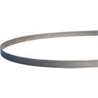 Lames de scie &agrave; ruban portatives Master-Band, Bim&eacute;tal, 18 Dents par pouce, 44-7/8" lo x 1/2" la Superchem Industries