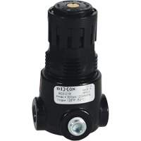 Wilkerson Miniature Regulator R03, 1/8" NPT, 300 psi Max. PSI, Standard Superchem Industries