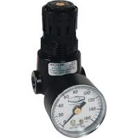 Wilkerson Miniature Regulator R04, 1/4" NPT, 300 psi Max. PSI, Standard Superchem Industries