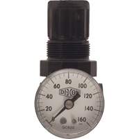 Series 1 Miniature Regulator, 1/8" NPT, 100 psi Max. PSI, Standard Superchem Industries