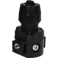 Wilkerson Compact Regulator R16, 1/4" NPT, 300 psi Max. PSI, Standard Superchem Industries