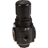 Series 1 Manifold Regulator, 1/4" NPT, 150 PSI Max. PSI, Standard Superchem Industries