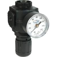 Series 1 Compact Regulator, 1/2" NPT, 150 PSI Max. PSI, Standard Superchem Industries