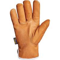 Gants Endura, Grand, Paume en Synth&eacute;tique, Doublure en Thinsulate Superchem Industries