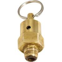 Viton&reg; Pressure Relief Valve Superchem Industries