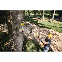 MAX* XR Cordless Polesaw Superchem Industries