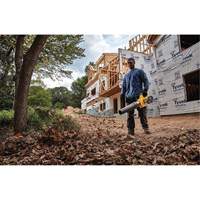 Ventilateur axial &agrave; main sans fil sans balai Max* FlexVolt, 60 V, Vitesse d'air 125 mi/h, &agrave; pile Superchem Industries