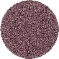 Meule en toile PSA 348D, 20" dia., Grain 60, Oxyde d'aluminium Superchem Industries