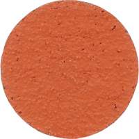 Lock Back Sanding Discs
