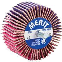 Threaded Mini Flap Wheel, Ceramic Alumina, 40 Grit, 2" x 1" x 1/4"-20 Superchem Industries